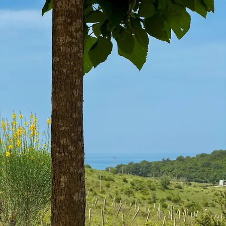 Hana With Pool * Shetaj